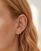 Papillon sommerfugle piercing ørering i guld paa oere - rook daith piercing