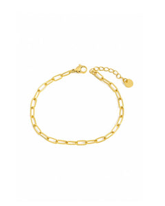 Eleanor forgyldt link-armbånd