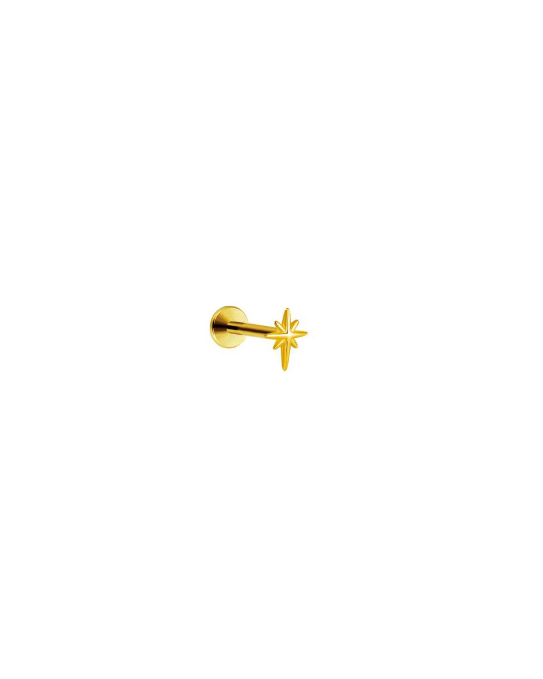 Stellar petite stjerne piercing med push pin luk